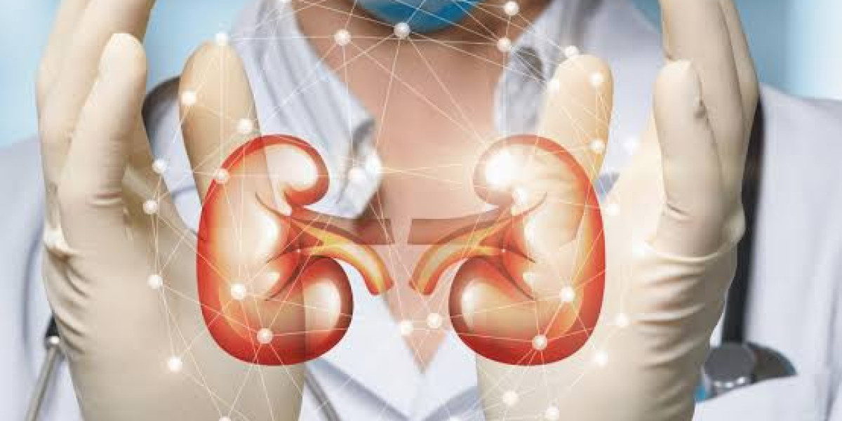 Kidney Function Test Price: Complete Guide to Costs, Importance, and Smart Testing Decisions in 2026