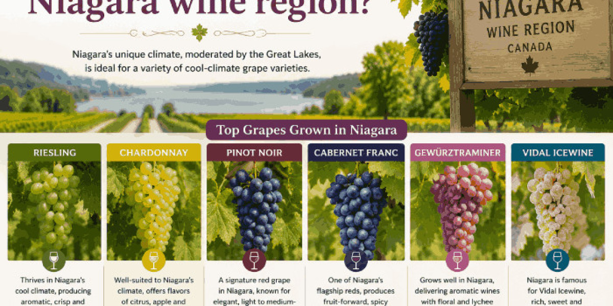 Niagara Grapes and the Meaning Behind Canadian Wine Standards
