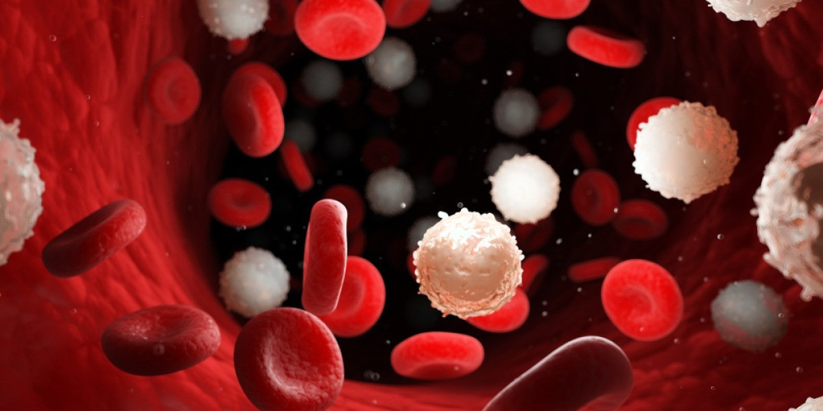 Anemia Dubai: How Are Follow-Up Blood Tests Used to Monitor Anemia Management?